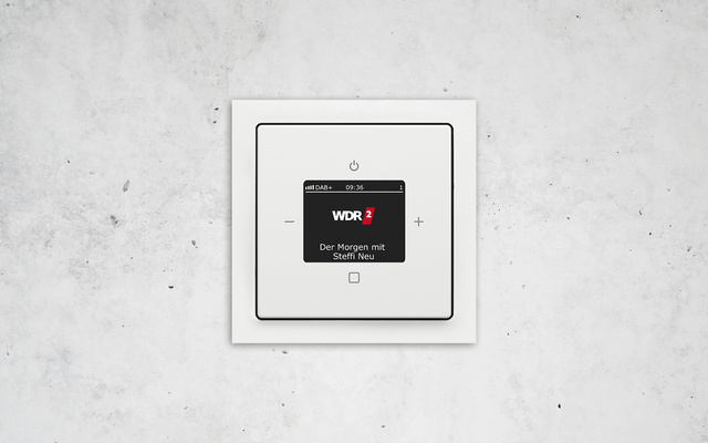 Busch-Radio DAB+ bei K + S Elektroservice GmbH in Potsdam