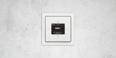 Busch-Radio DAB+ bei K + S Elektroservice GmbH in Potsdam